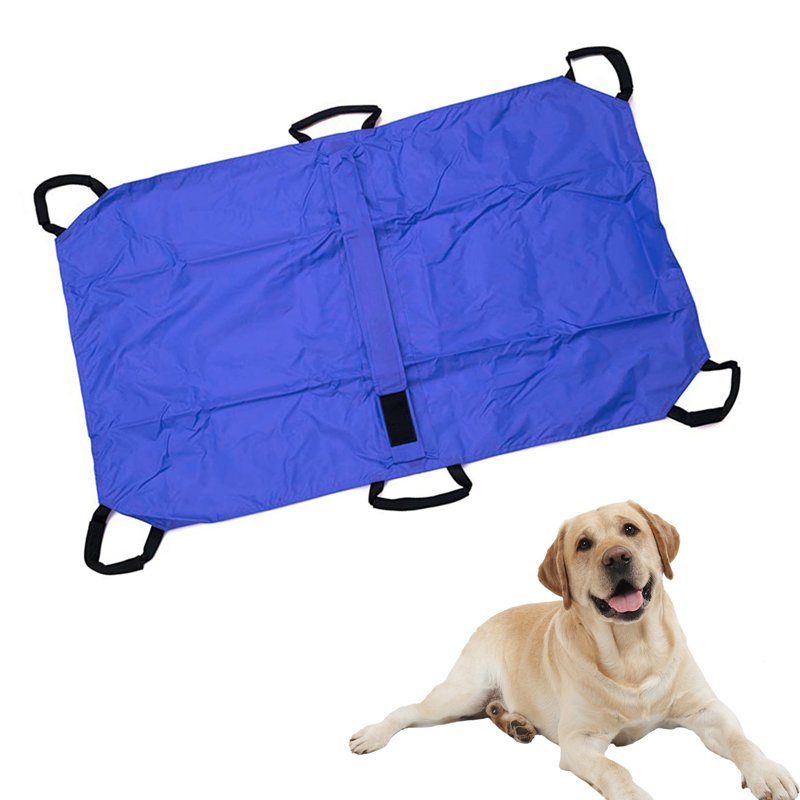 Tucker Murphy Pet 6 Handles Large Pet Transport Carrier Stretcher Pet Dog Transport Tool Reviews Wayfair